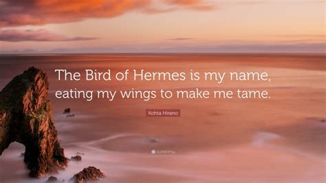 bird of hermes poem meaning|i am the bird of Hermes eating my own wings.